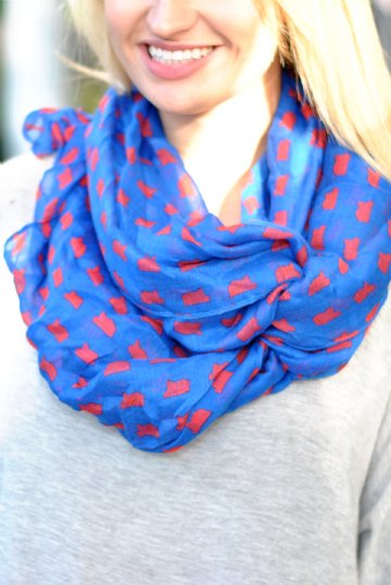 State Pride Scarf - Ole Miss